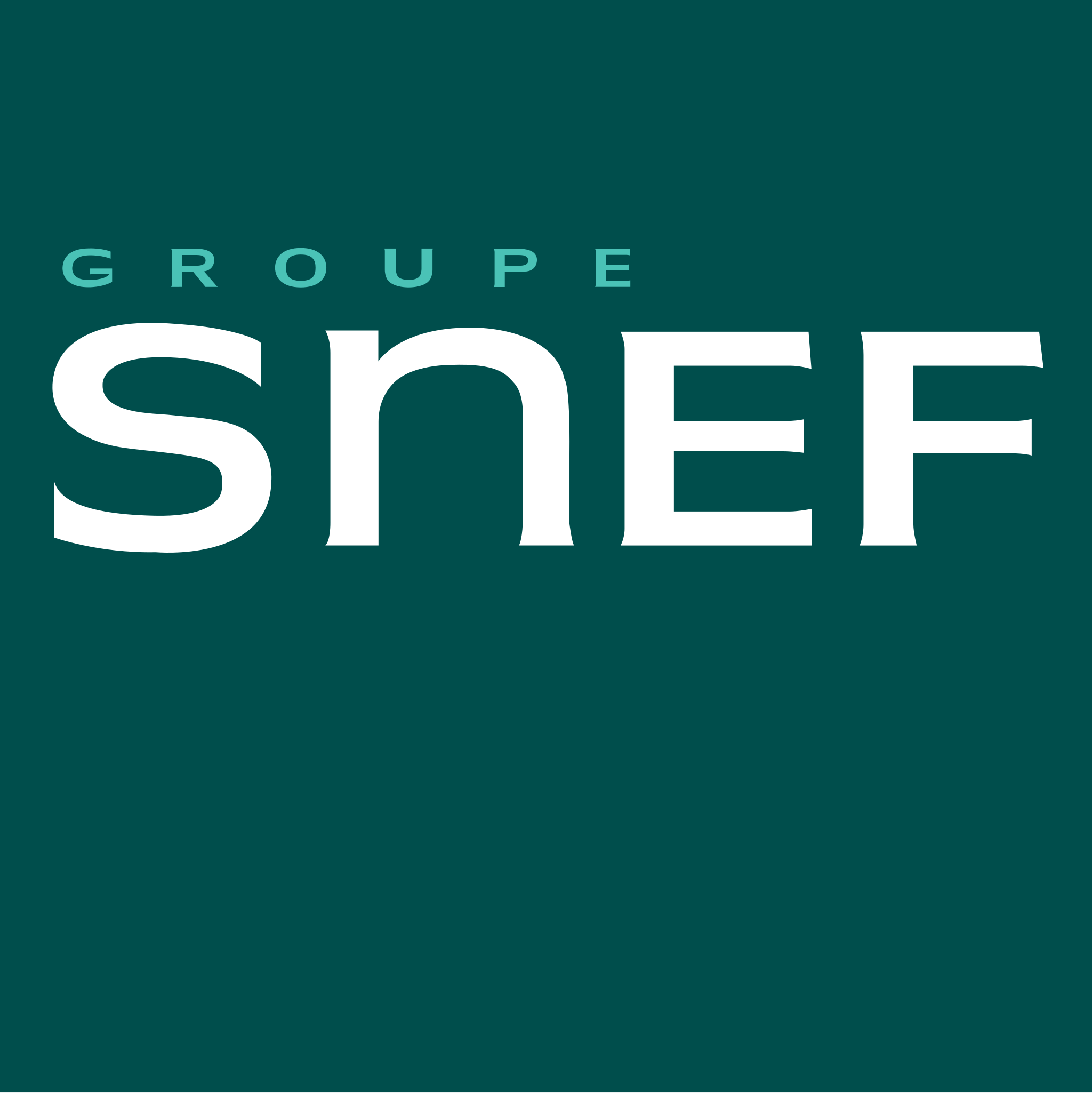 SNEF-logo